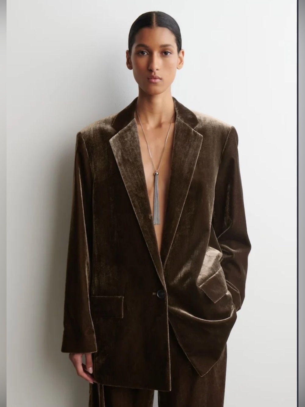 Zara Velvet Single-Button Blazer Brown Size Small